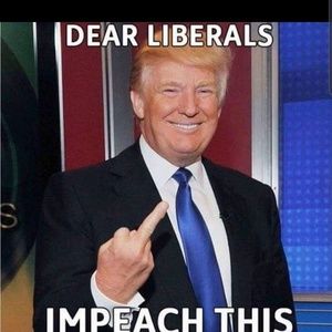 Meet your Posher, Dino